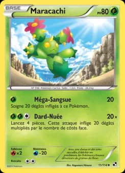 Maracachi