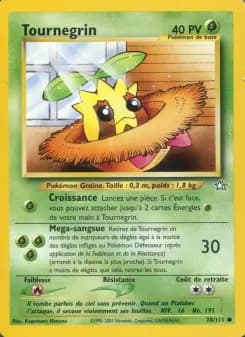 Tournegrin