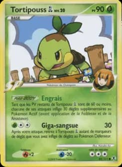 Tortipouss  Niv. 20