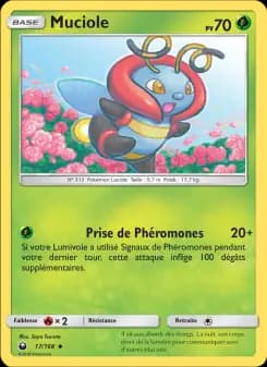 Muciole