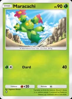 Maracachi