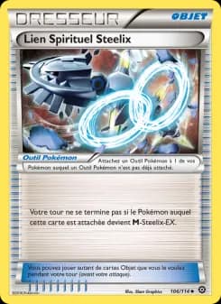 Lien Spirituel Steelix
