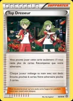 Top Dresseur