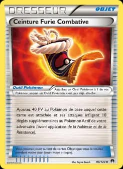 Ceinture Furie Combative