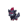 Zorua