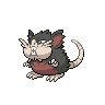 Raticate Alola