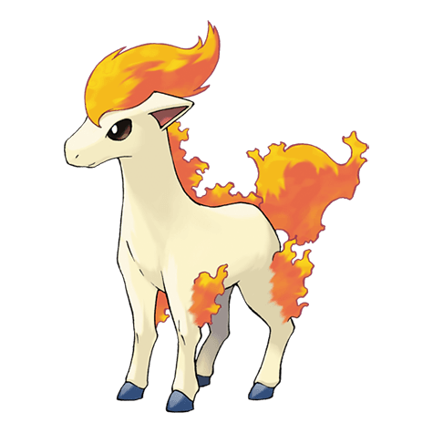 Ponyta