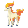 Ponyta