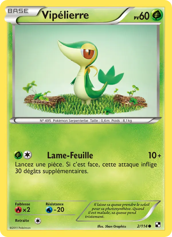 Vipélierre - Noir & Blanc 2/114