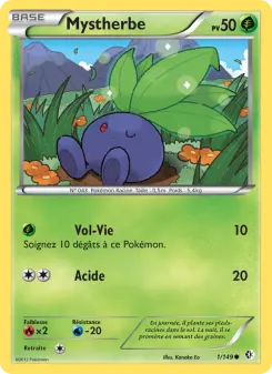 Mystherbe - Frontières Franchies