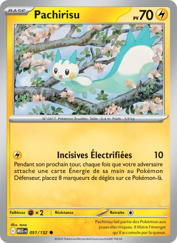 Pachirisu - Méga-Évolution 051/132