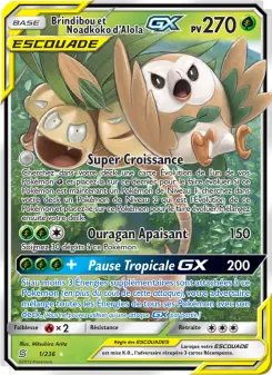 Brindibou et Noadkoko d’Alola GX