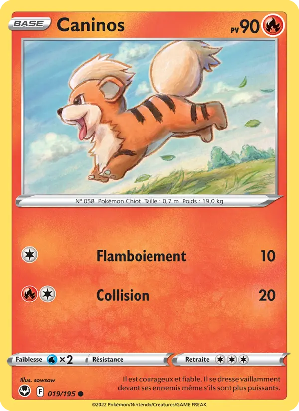 Caninos - Tempête Argentée 019/195