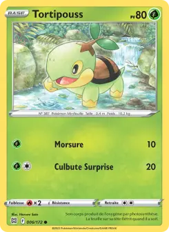 Tortipouss - Stars Étincelantes