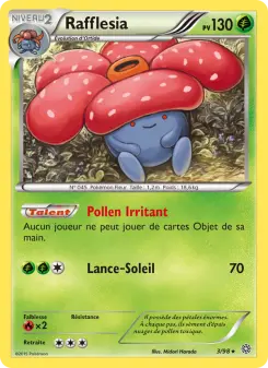 Rafflesia - Origines Antiques